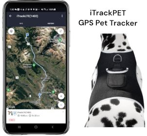 Pet Tracker Collar Rechargeable Pet Location Surveillance System w/ GPS Tracker App Size:L